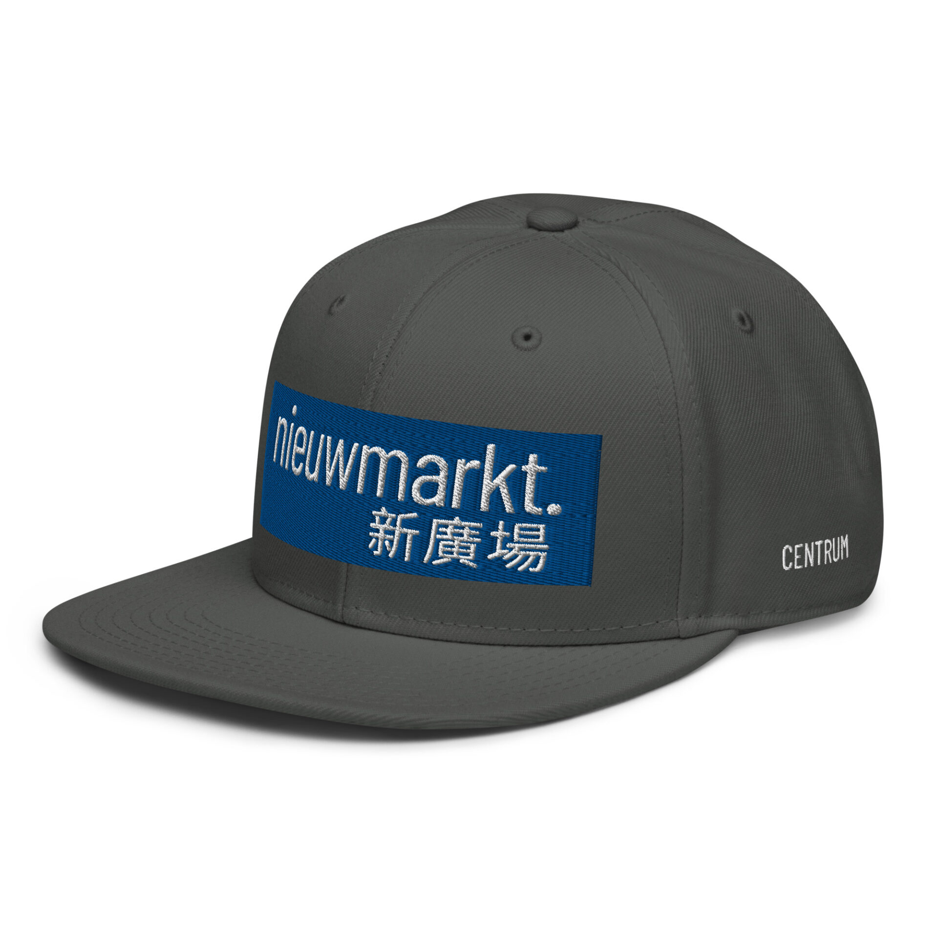snapback-charcoal-gray-left-front-66afc693566f6.jpg